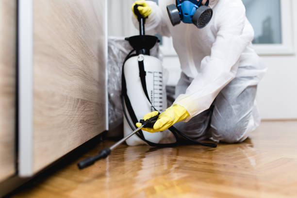 Best Rat Extermination Near Me  in West Clarkston Highland, WA