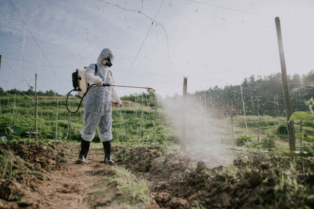 Best Pest Removal Services  in West Clarkston Highland, WA