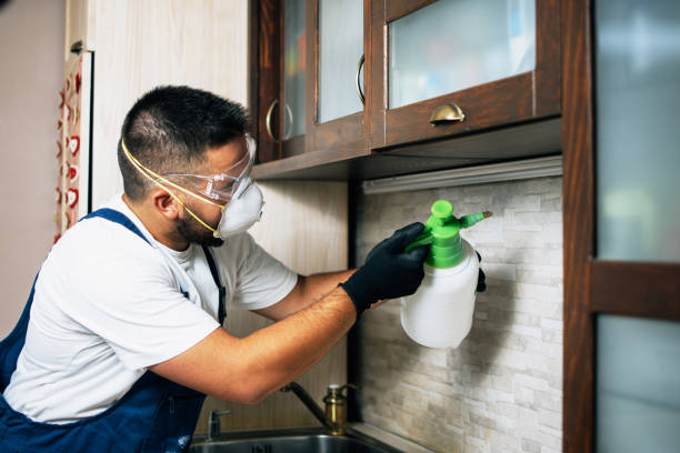 Best Exterminator Services  in West Clarkston Highland, WA
