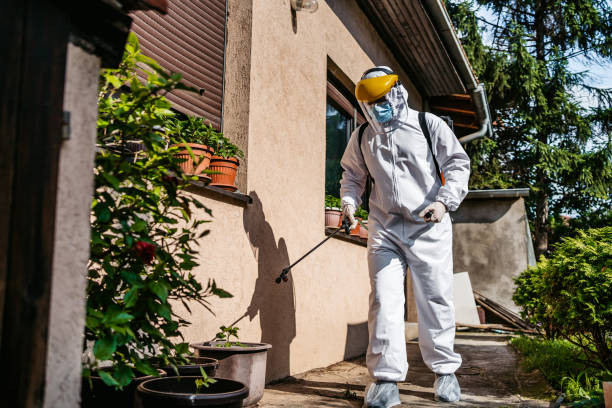 Best Best Pest Control Companies  in West Clarkston Highland, WA