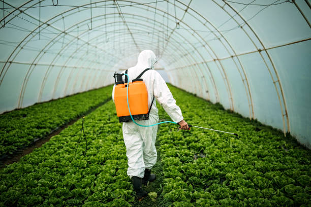 Best Local Pest Control Services  in West Clarkston Highland, WA