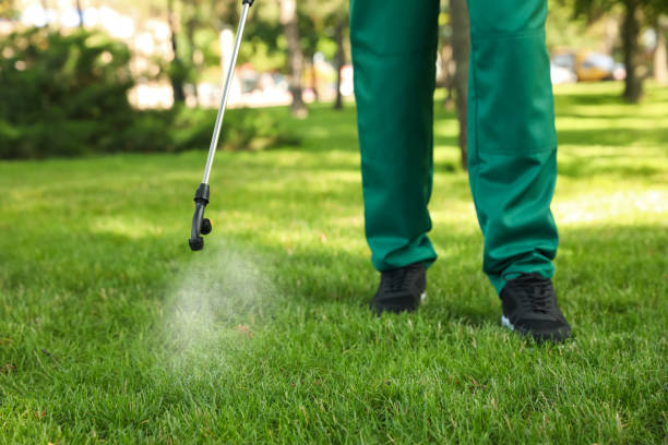 Best Cockroach Control Services  in West Clarkston Highland, WA