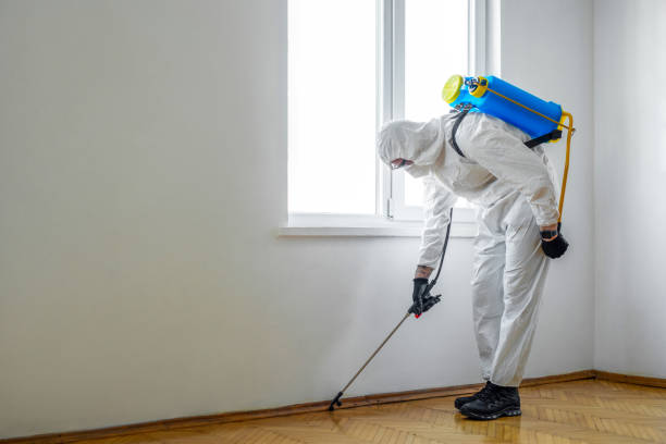 Best Affordable Pest Control Services  in West Clarkston Highland, WA