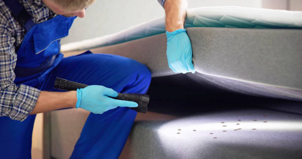 Best Commercial Pest Control Services  in West Clarkston Highland, WA