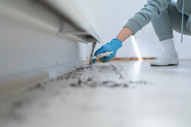 Best Pest Removal Services  in West Clarkston Highland, WA